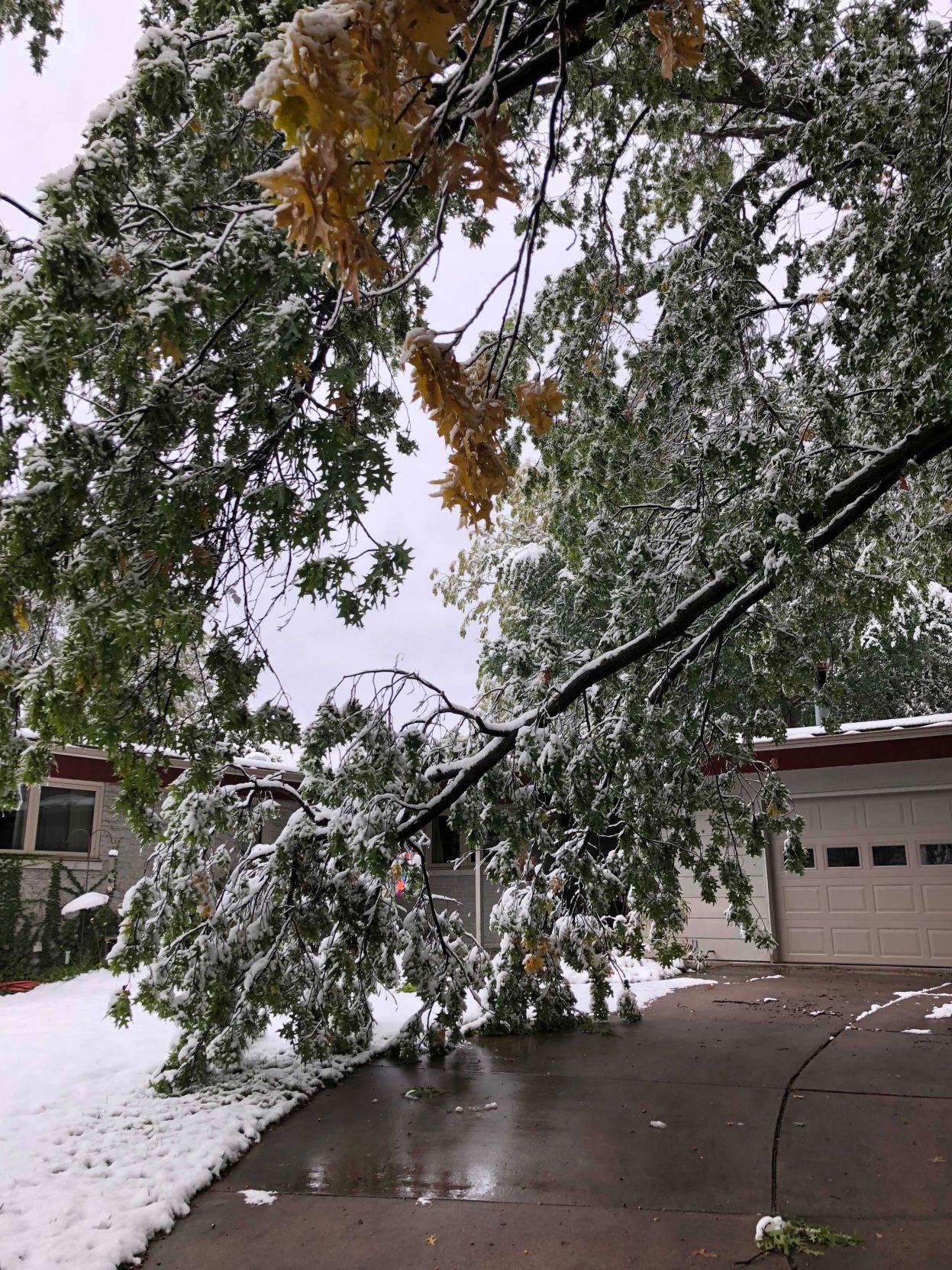Snow, 10/14